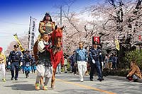 城下町小幡さくら祭り